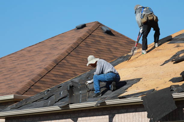 Best Chimney Flashing Repair  in Logansport, LA