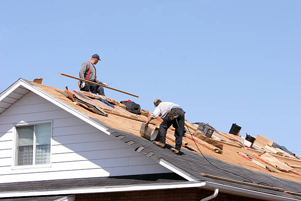 Best Roof Maintenance and Cleaning  in Logansport, LA